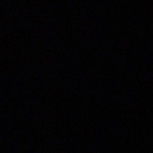 Meet your Posher, Sarina